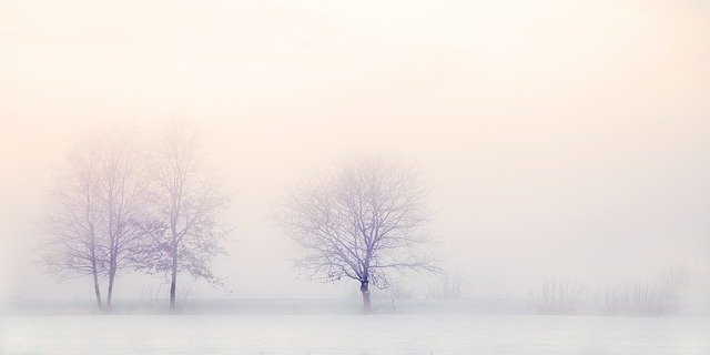 winter-landscape-2571788_640