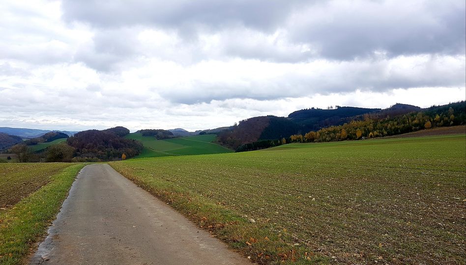 Wahrheit & Klarheit, Elisabeth Westhoff
