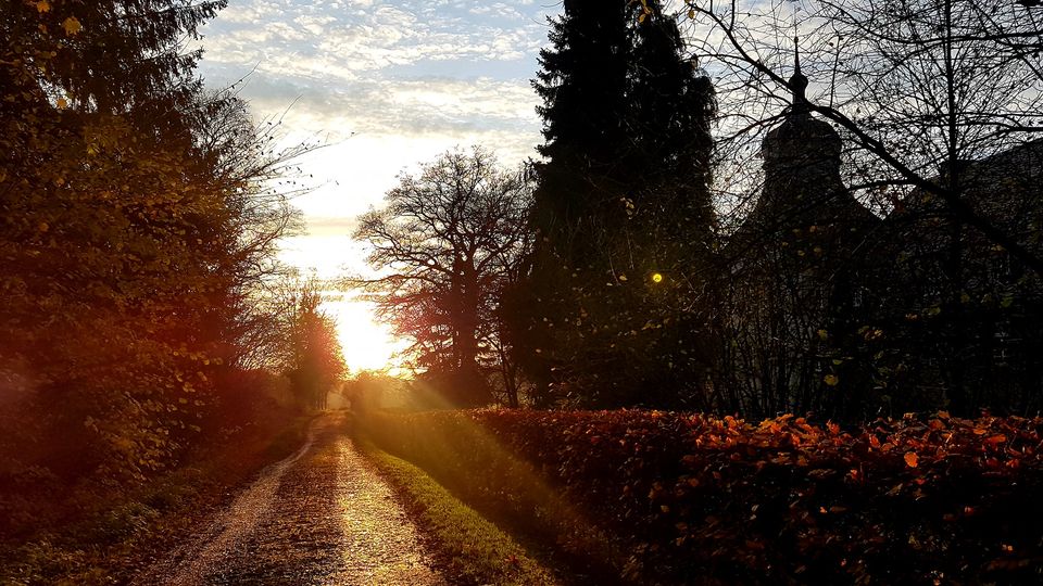 Elisabeth Westhoff, Dein Weg ins Licht
