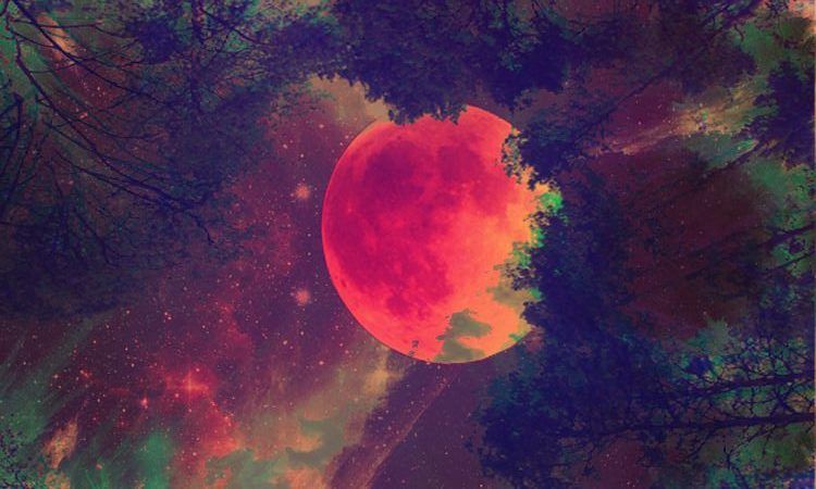 Kalayna Colibri zu den Vollmond-Totalen Finsternis-Energien: „Was du fühlen und tun kannst, während sich die Energien zur Vollmond-Finsternis aufbauen.“