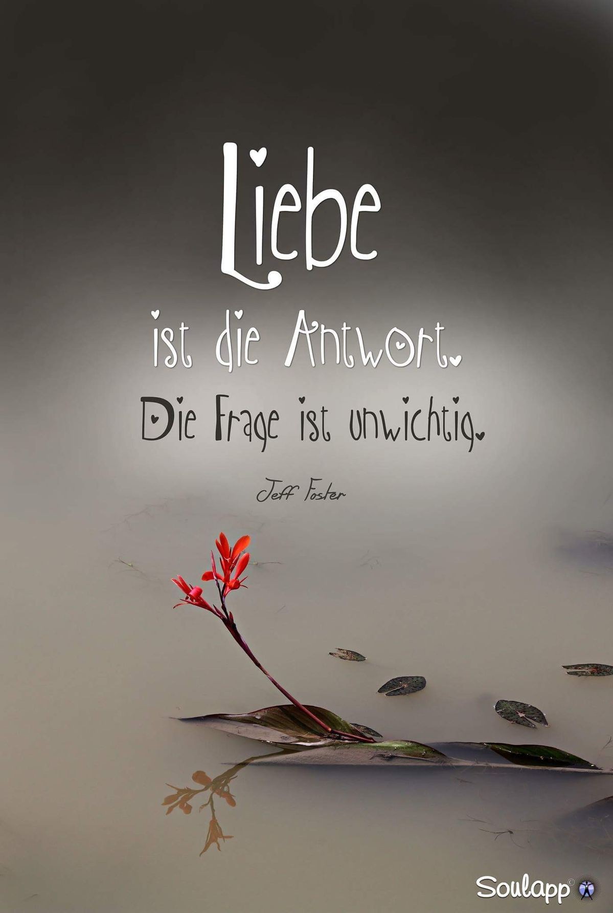 Herzflüsterei … Tagesflüstern vom 29. Januar 2019