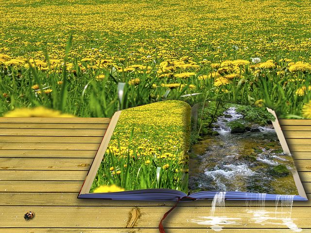 DANKE … für das erfolgreichste Volksbegehren zur „Artenvielfalt & Naturerhalt & Bienenrettung“ …