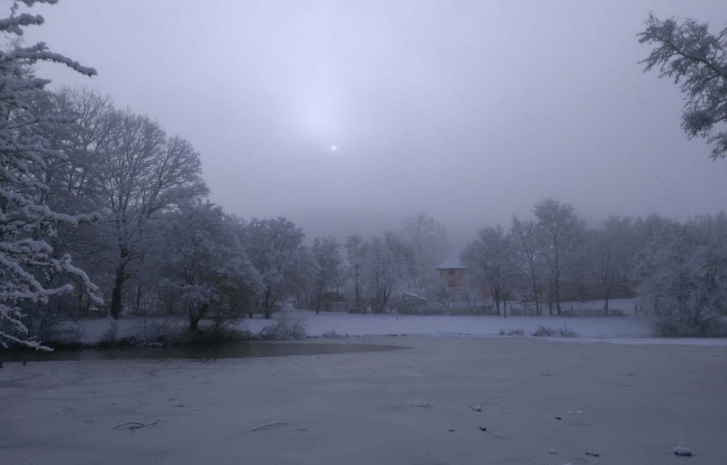 Susanne Schindhelm-Todorovic, Wer will, findet Wege-Blog: „Die Energien im Februar 2019“