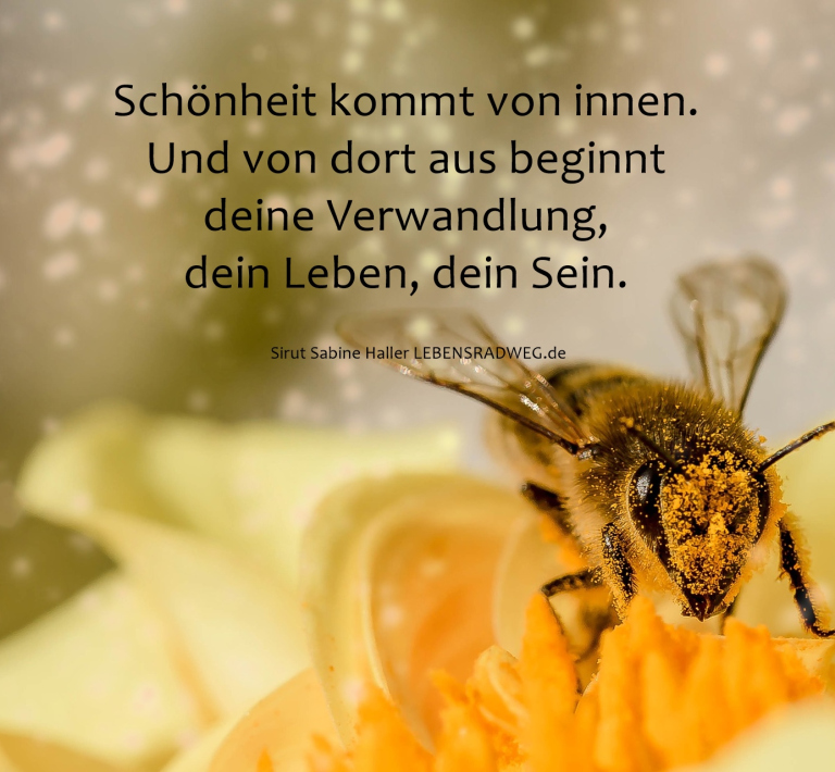 Sirut Sabine Haller: Tages.Energie vom 21.04.2019