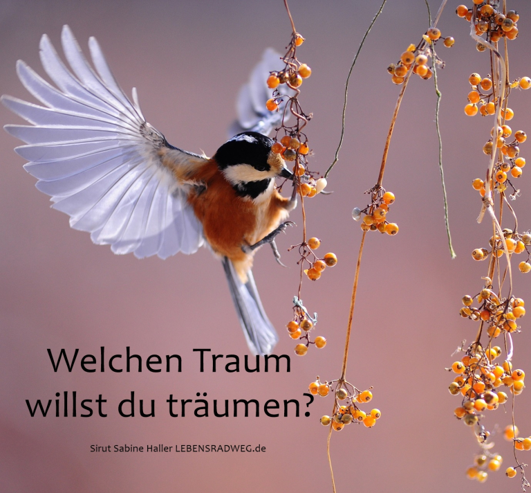 Sirut Sabine Haller, Tages.Energie vom 27.04.2019
