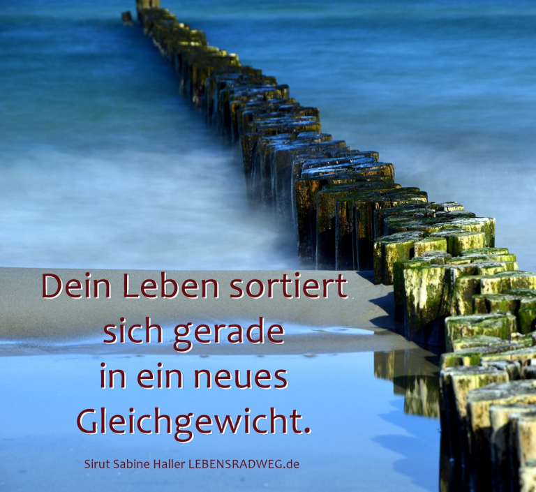 Sabine Sirut Haller, Tages.Energie vom 16.04.2019