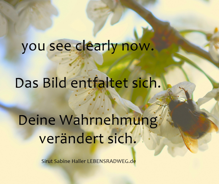 Sirut Sabine Haller, Tages.Energie für den 20.04.2019