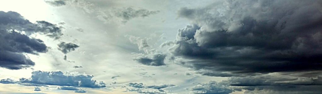 quantumnatureblog: da schaut eine seele in die welt, vom 17.04.2019