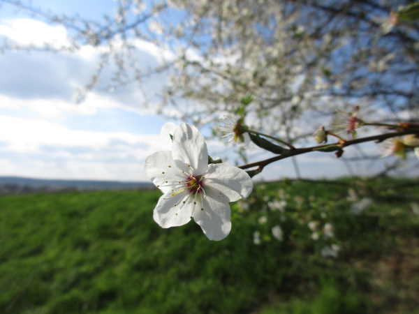 Heike Kühnemund: „Ein neues Gleichgewicht“, vom 16.04.2019