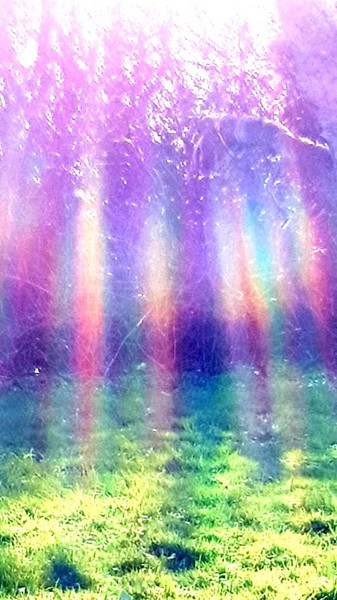 Grace Solaris … regenbogenfarbene Licht-Codes, vom 1.04.2019