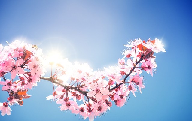 Kerstin/Kimama: Sternenkinder/Update… vom 25.04.2019