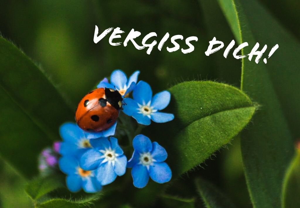 Elisabeth: „Vergiss dich!“