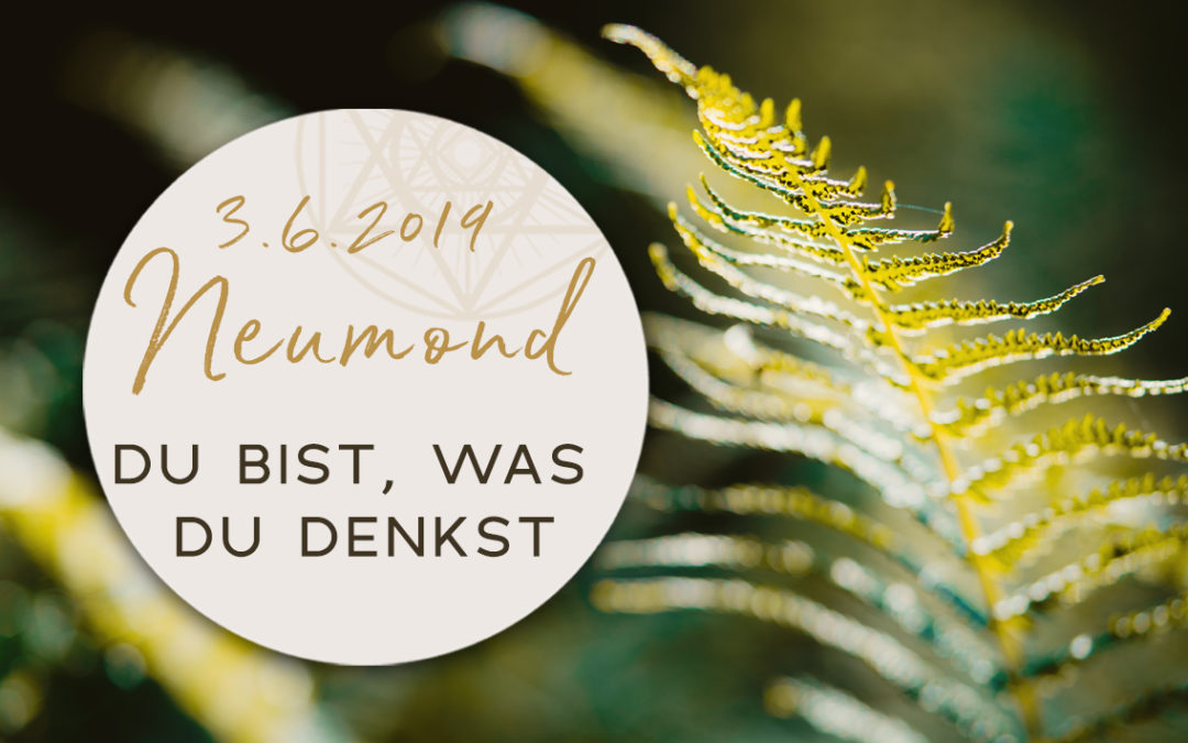 Günter Kerschbaummayr: Zeitqualität zum 3.6.2019 – Neumond im Zwilling