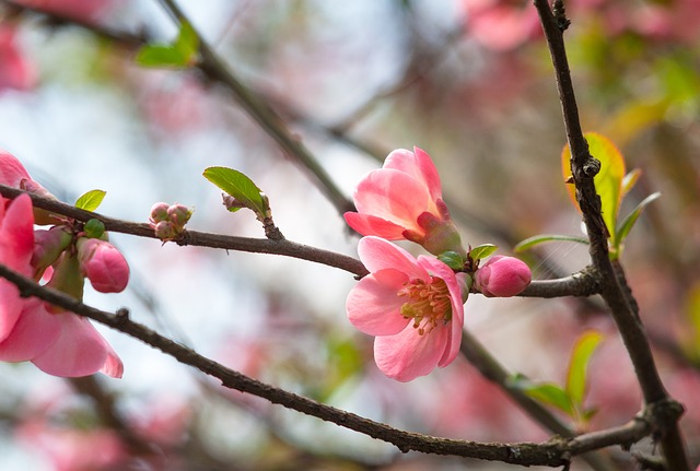 Herzflüsterei, Tagesflüstern vom 02. Mai 2019
