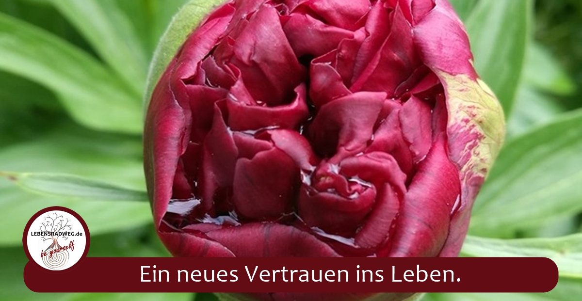 Sirut Sabine Haller, Lebensradweg: „Ein neues Vertrauen ins Leben“