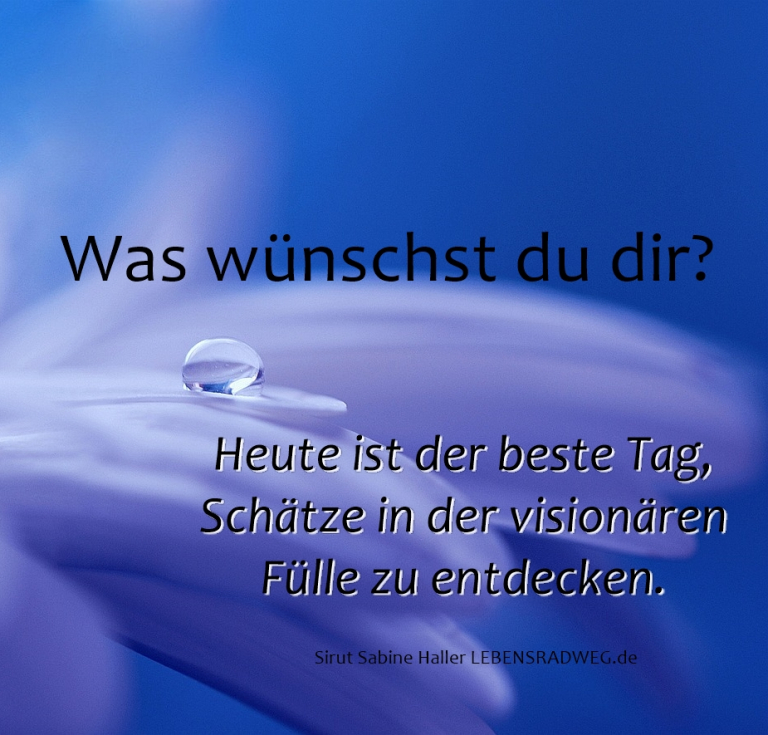 Sirut Sabine Haller: Tages.Energie vom 28.5.19