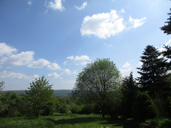Heike Kühnemund: „Erdung, Erdung, Erdung“, vom 01. Mai 2019