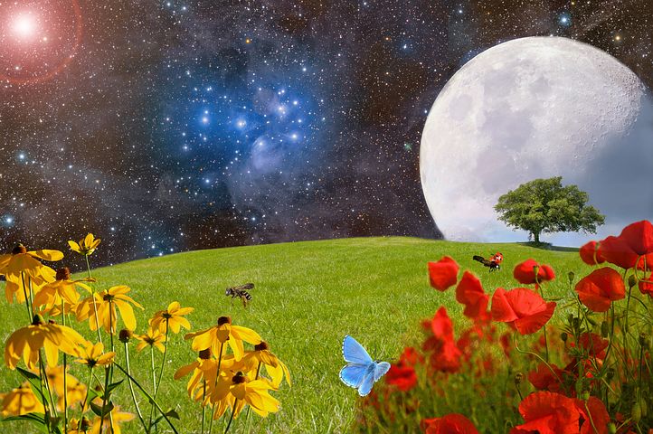 Celia Fenn, auf Facebook, 01.05.2019