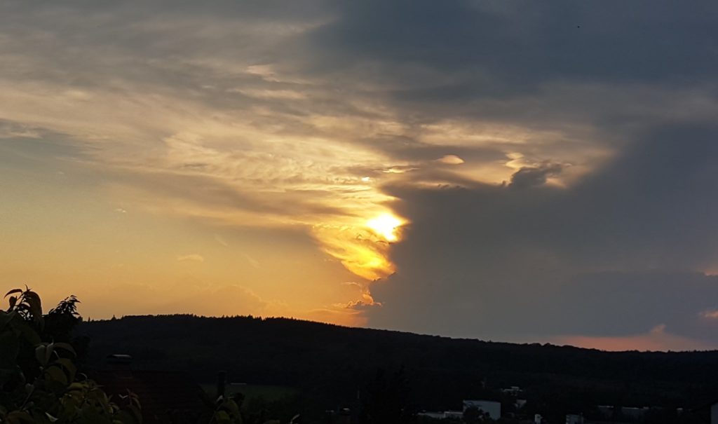 Elisabeth Westhoff zu den Sonn.Seelen.Wende.Energien