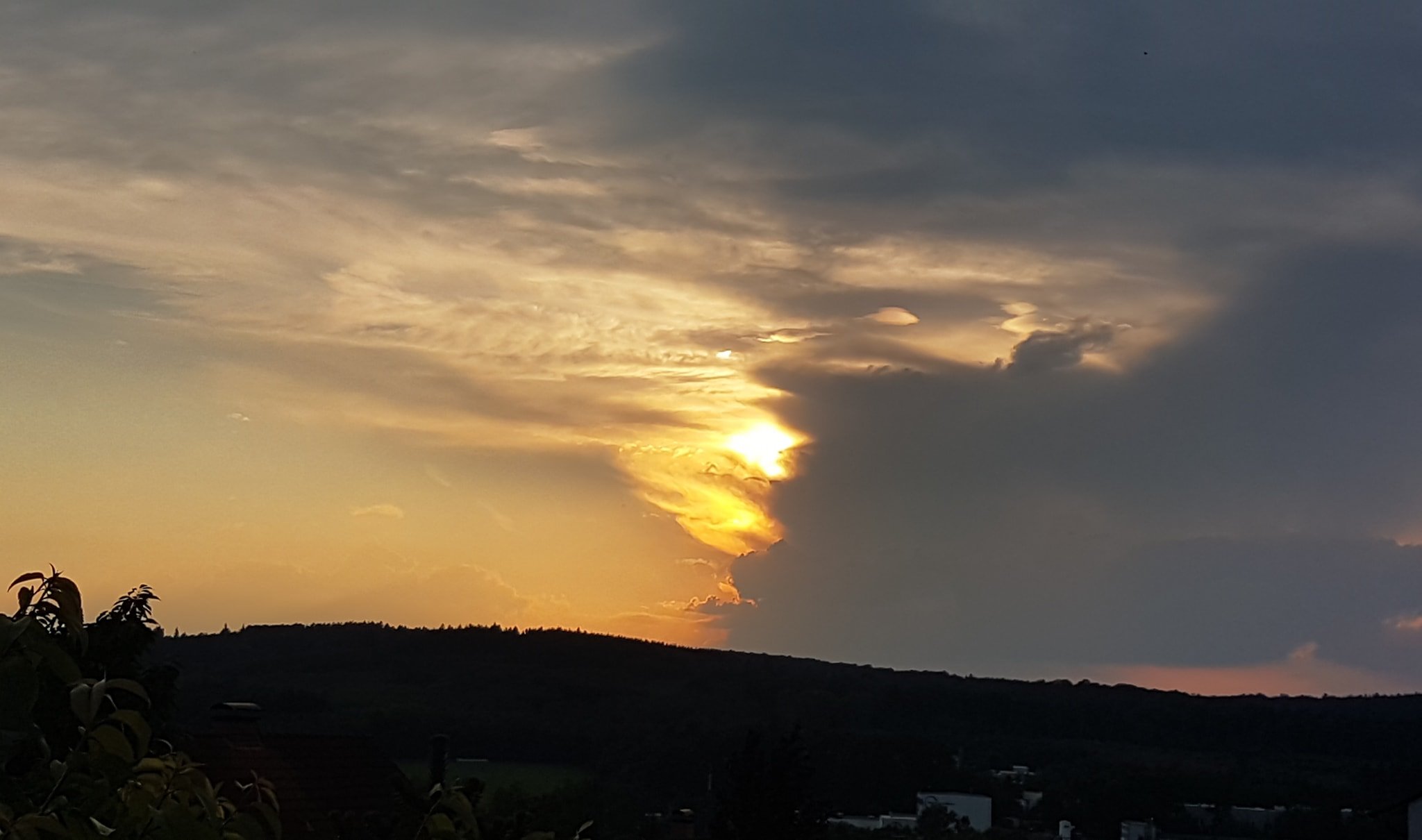 Elisabeth Westhoff zu den Sonn.Seelen.Wende.Energien