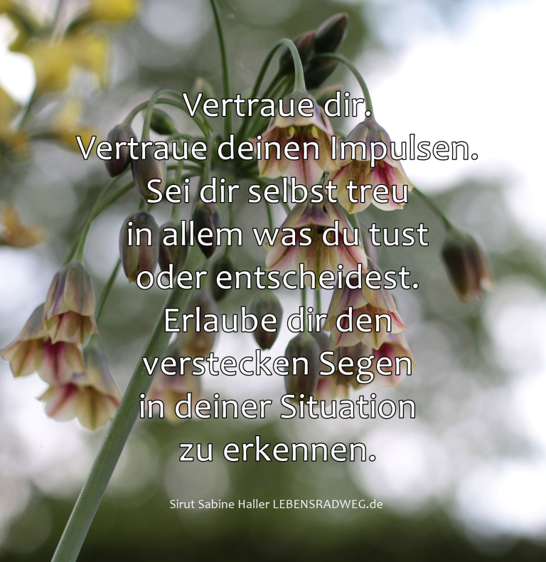 Sirut Sabine Haller, Tagesenergie vom 20.06.2019