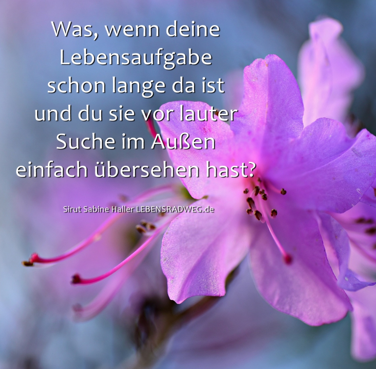 Sirut Sabine Haller, Tagesenergie vom 14.06.2019