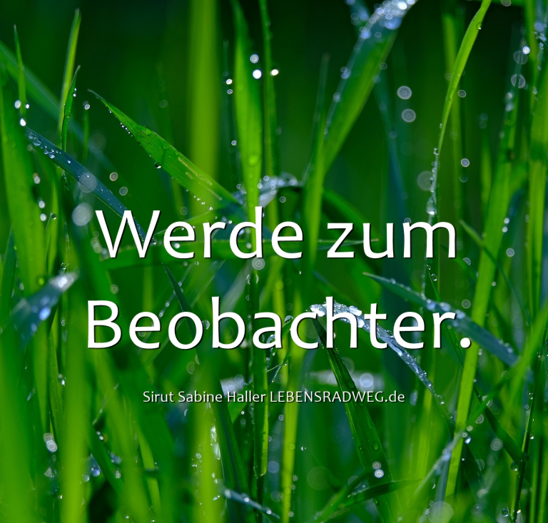 Sirut Sabine Haller, Tagesenergie vom 7.6.19
