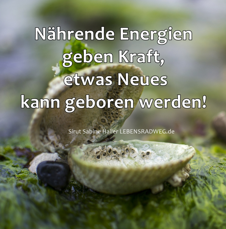 Sirut Sabine Haller, Tagesenergie vom 23.06.2019