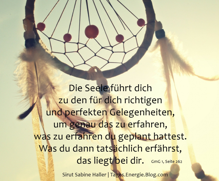 Tagesenergieblog: TagesEnergie vom 20. + 21.7.19
