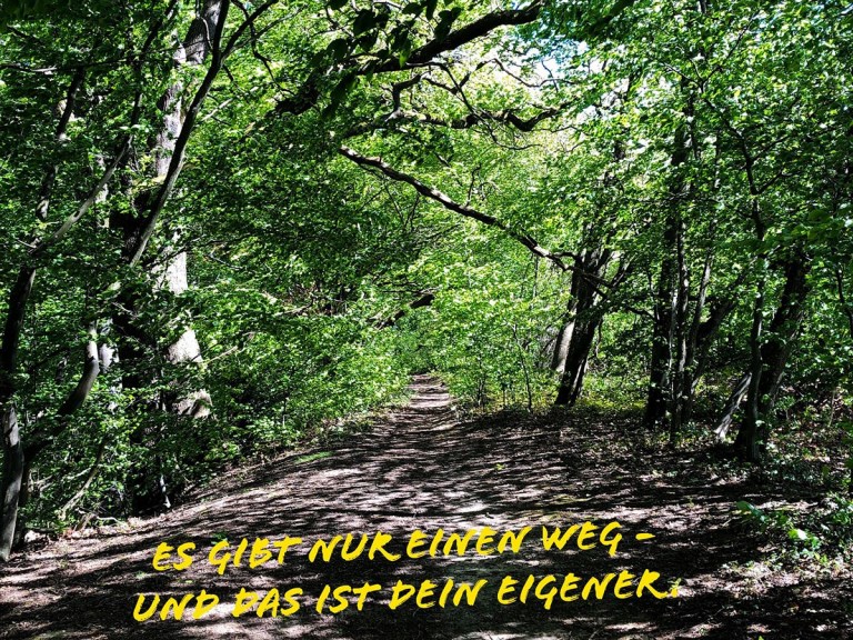Energie.Heilung.Bewusst sein: „Es gibt nur einen Weg – und das ist DEIN eigener!“