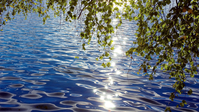 Jennifer Farley: „Der Weg des Werdens“ vom 17. August 2019
