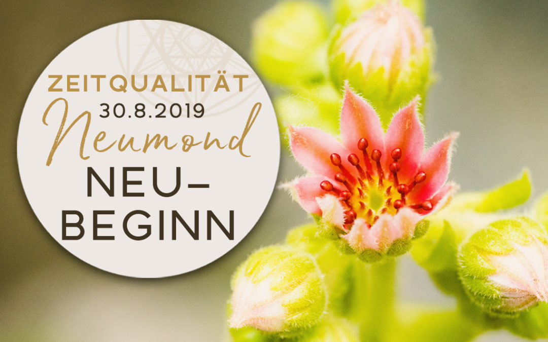 Günter Kerschbaummayr, Zeitqualität zum 30.8.2019: Neubeginn – Neumond in der Jungfrau