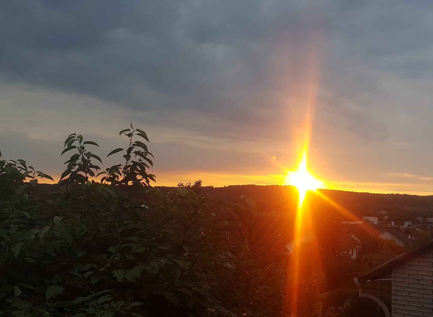 Elisabeth Westhoff vom 2. August 2019: „Starke Welle der Transformation in der Tiefe. Annehmen, was sich gerade zeigt. Du bist Licht.“