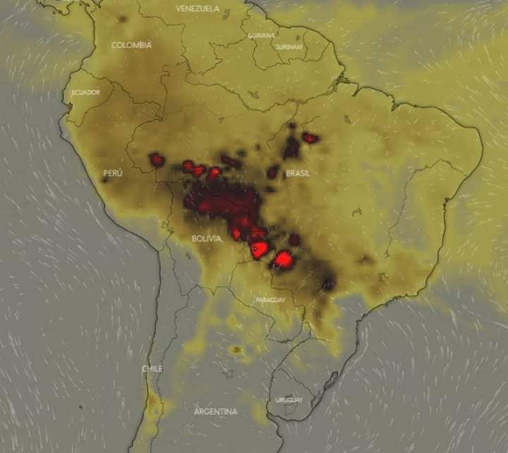 Celia Fenn: Neuer Wohnort und die vernichtenden Waldbrände im Amazonas und in Sibirien