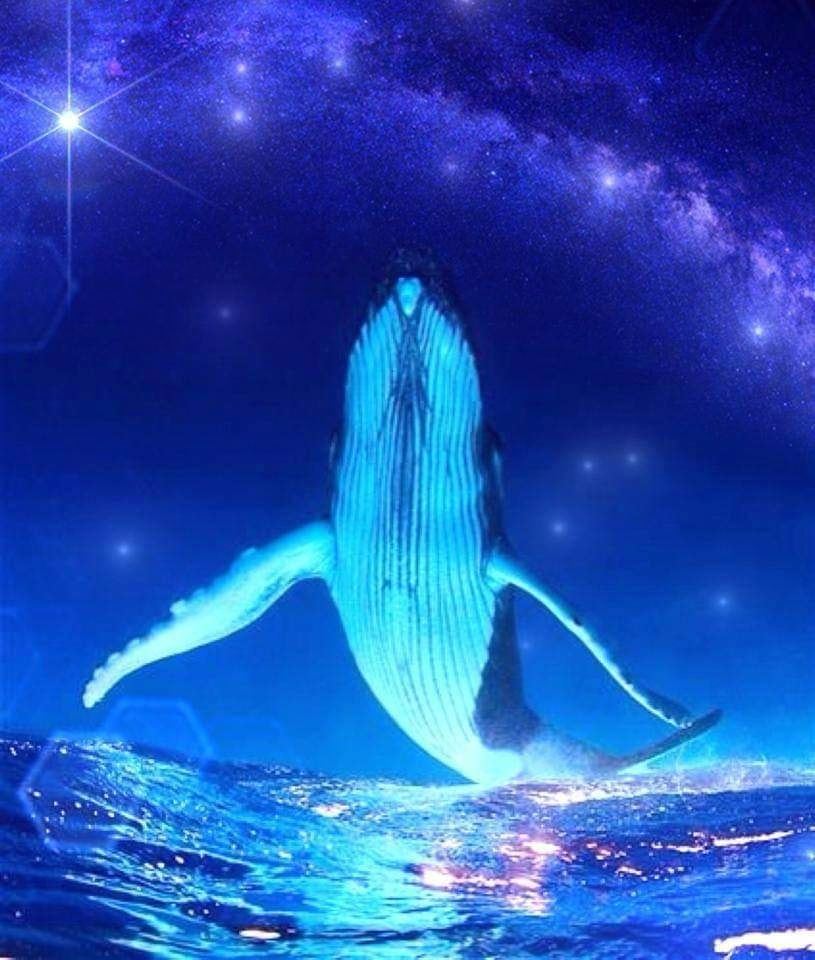 Celia Fenn auf Facebook, 30/8/19
