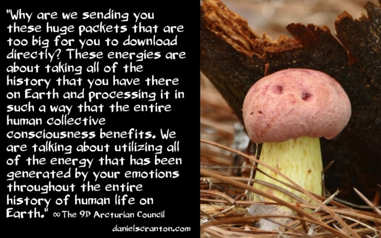 Daniel Scranton, ∞ „Riesige Downloads von Arkturus“ ∞ Der Rat der Arkturaner aus der 9. Dimension, vom 03.08.2019