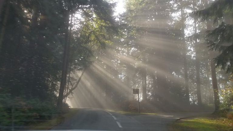 Jennifer Farley: „Klärung … wenn sich die Nebel lichten“ vom 2. August 2019