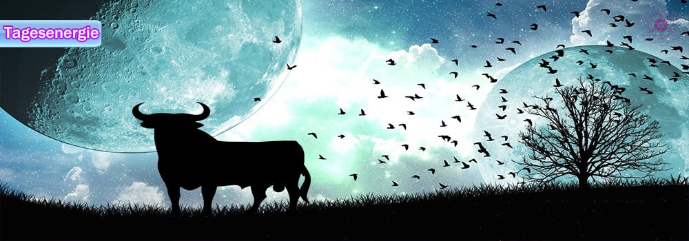 Allesistenergie: Tagesenergie am 21. August 2019 (Mond wechselt in das Sternzeichen Stier)