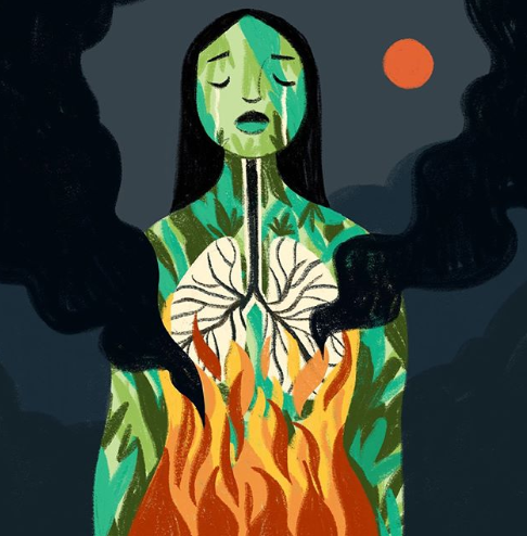 Diane Cooper hat auf Facebook eine Meditation zur aktiven Bekämpfung der Waldbrände im Amazonas veröffentlicht …