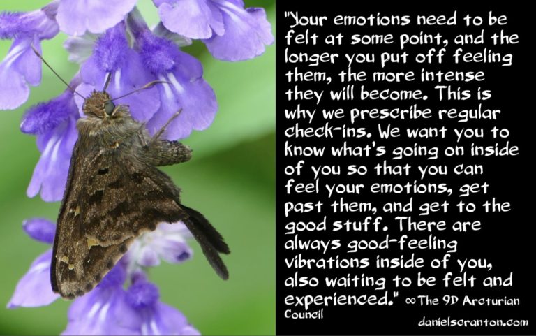 Daniel Scranton, ∞ „Der Verstand und die Emotionen“ ∞ Der Rat der Arkturianer aus der 9. Dimension, vom 09.08.2019