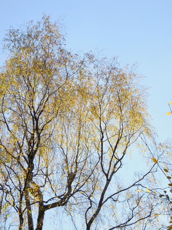 Eva-Maria Eleni, Einige energetische Impulse zu Mabon (Herbst- Tagundnachtgleiche) 2019