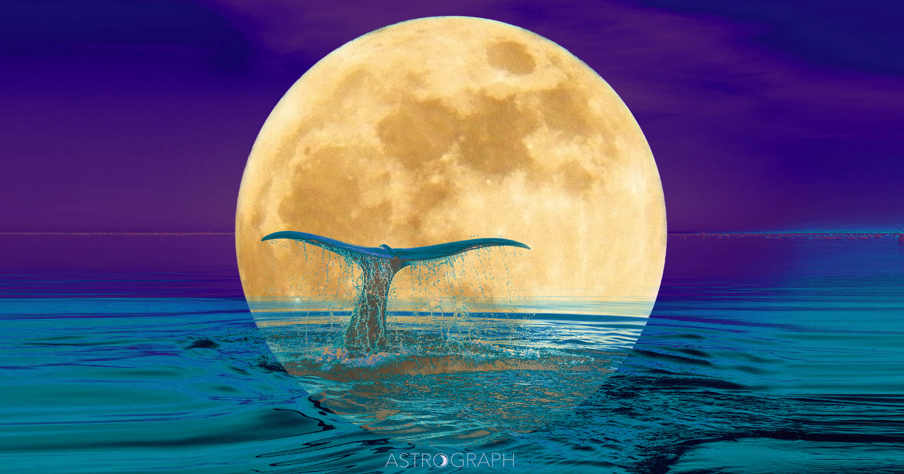 Celia Fenn zum Vollmond