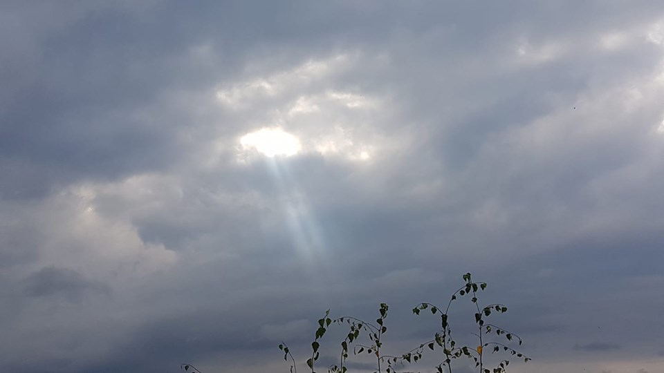 Elisabeth Westhoff: Energie 2.9.19