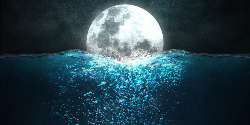 Taste of Power: Fische-Vollmond am 14. September 2019