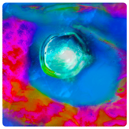 Werner Neuner: „Samhain, das Portal“