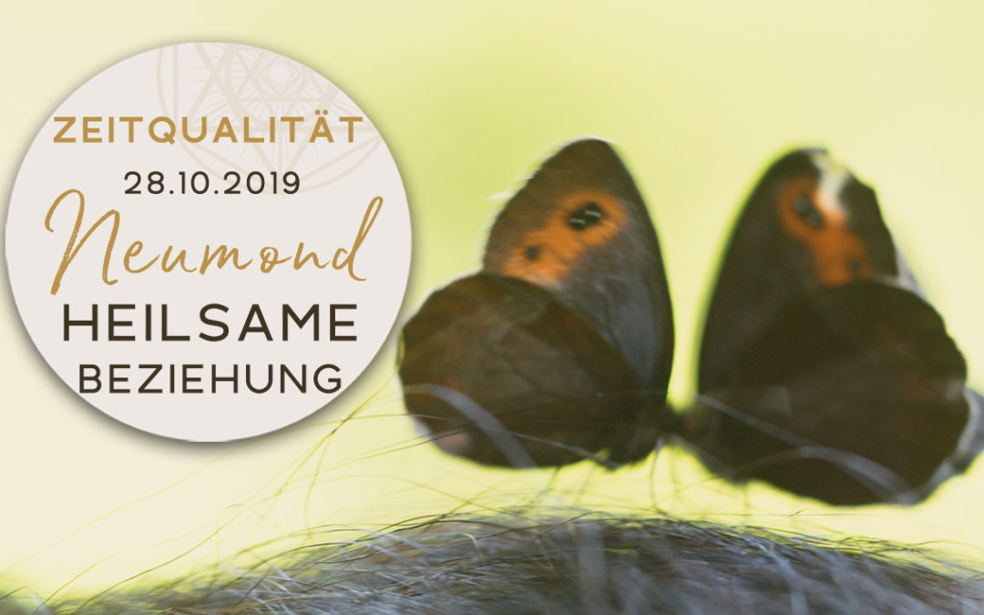 Günter Kerschbaummayr: Zeitqualität mit Video 28.10.19, Neumond, „Heilsame Beziehung“
