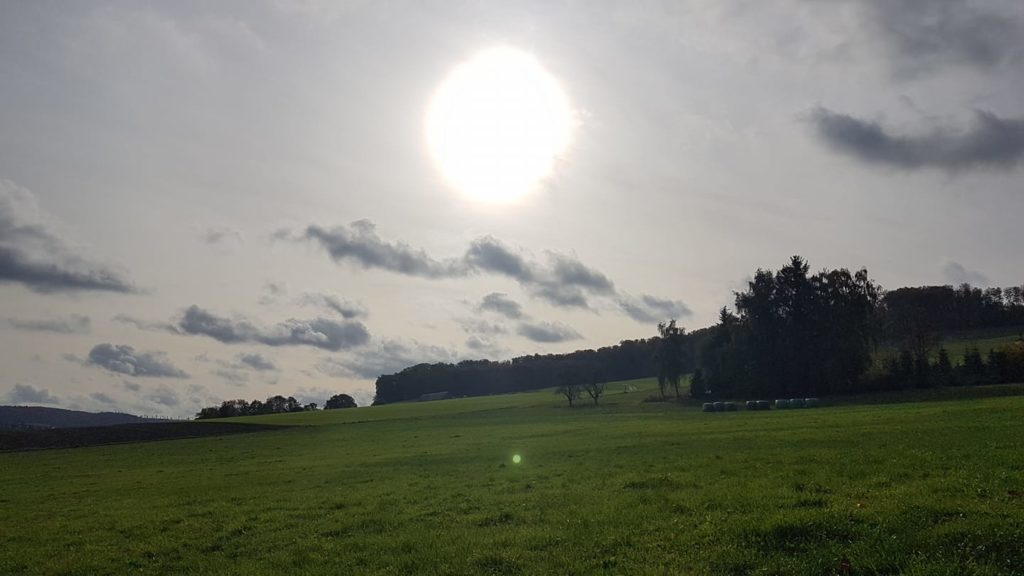 Elisabeth Westhoff: „Intensive Energien sind im Feld …“, 25.10.19