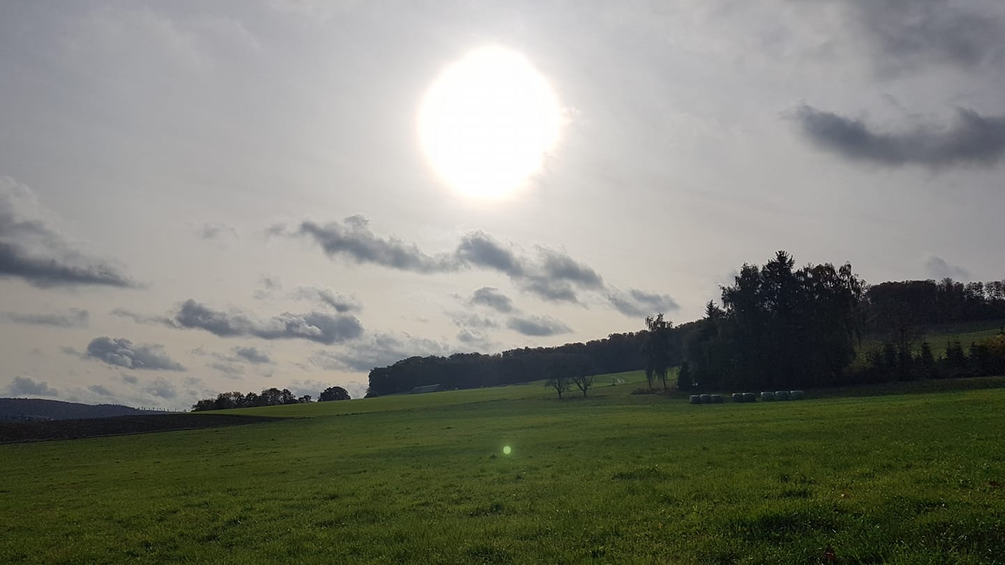 Elisabeth Westhoff: „Intensive Energien sind im Feld …“, 25.10.19