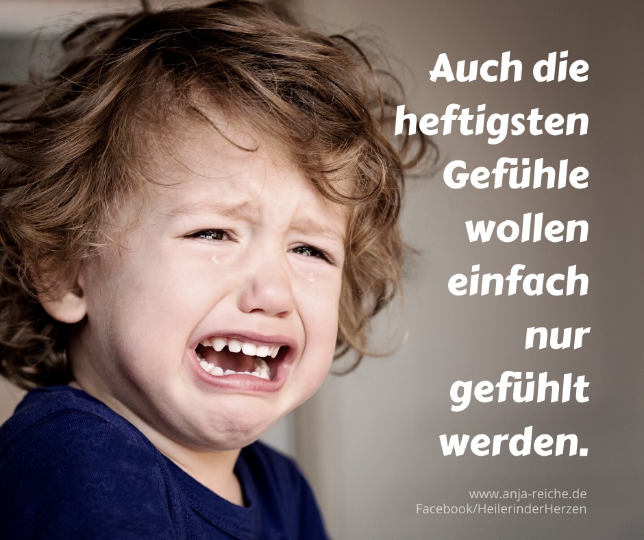 Anja Reiche: „Es geht ordentlich zur Sache!“, 25.10.19
