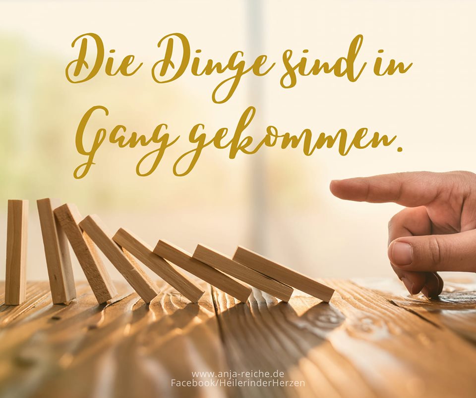 Anja Reiche: „Die Dinge sind in Gang gekommen.“, 31.10.19